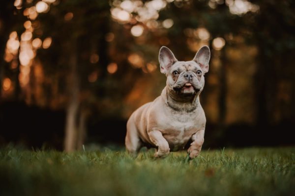 maggie-5