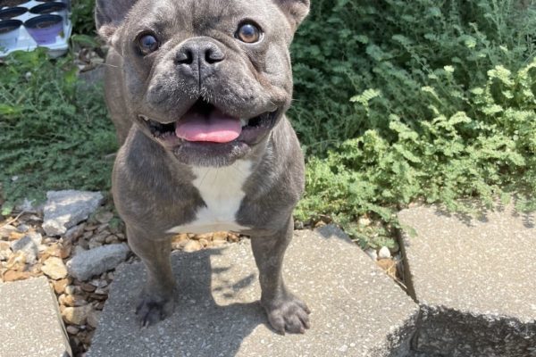 Molly